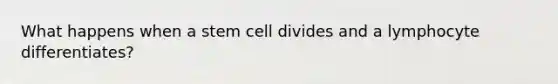 What happens when a stem cell divides and a lymphocyte differentiates?