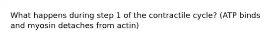 What happens during step 1 of the contractile cycle? (ATP binds and myosin detaches from actin)