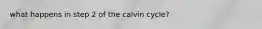 what happens in step 2 of the calvin cycle?