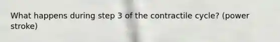 What happens during step 3 of the contractile cycle? (power stroke)