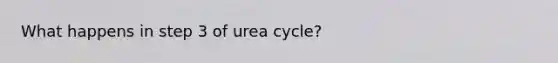 What happens in step 3 of urea cycle?