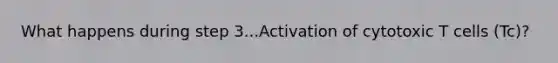 What happens during step 3...Activation of cytotoxic T cells (Tc)?