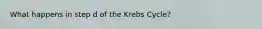 What happens in step d of the Krebs Cycle?