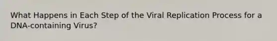 What Happens in Each Step of the Viral Replication Process for a DNA-containing Virus?