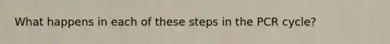 What happens in each of these steps in the PCR cycle?