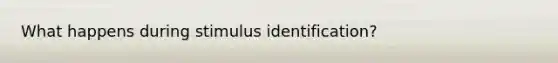 What happens during stimulus identification?