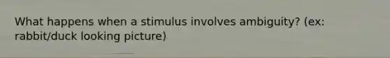 What happens when a stimulus involves ambiguity? (ex: rabbit/duck looking picture)