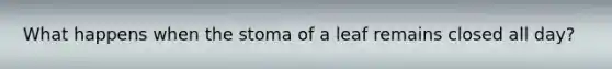 What happens when the stoma of a leaf remains closed all day?