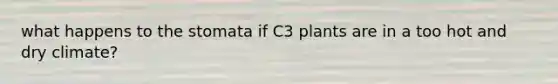 what happens to the stomata if C3 plants are in a too hot and dry climate?