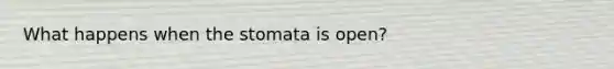 What happens when the stomata is open?