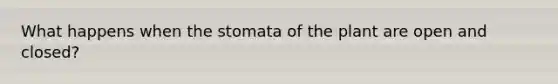 What happens when the stomata of the plant are open and closed?