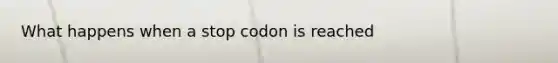 What happens when a stop codon is reached