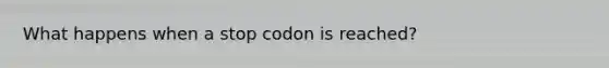 What happens when a stop codon is reached?