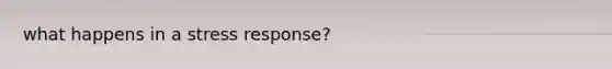 what happens in a stress response?