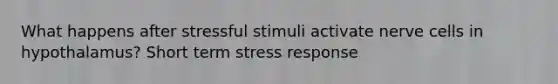 What happens after stressful stimuli activate nerve cells in hypothalamus? Short term stress response