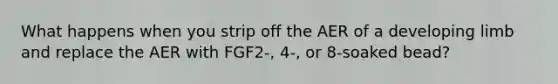 What happens when you strip off the AER of a developing limb and replace the AER with FGF2-, 4-, or 8-soaked bead?