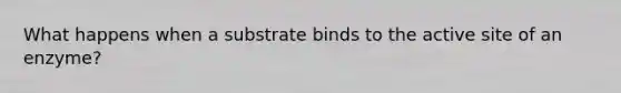 What happens when a substrate binds to the active site of an enzyme?