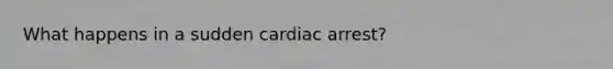 What happens in a sudden cardiac arrest?