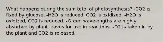 What happens during the sum total of photosynthesis? -CO2 is fixed by glucose. -H2O is reduced, CO2 is oxidized. -H2O is oxidized, CO2 is reduced. -Green wavelengths are highly absorbed by plant leaves for use in reactions. -O2 is taken in by the plant and CO2 is released.