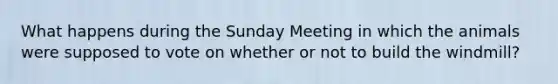 What happens during the Sunday Meeting in which the animals were supposed to vote on whether or not to build the windmill?