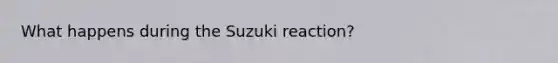 What happens during the Suzuki reaction?