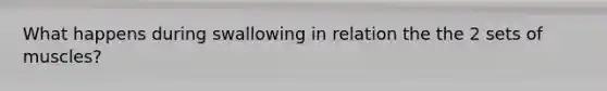 What happens during swallowing in relation the the 2 sets of muscles?