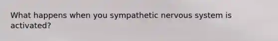 What happens when you sympathetic nervous system is activated?