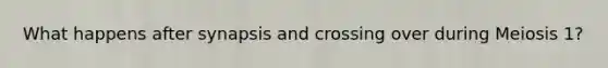 What happens after synapsis and crossing over during Meiosis 1?