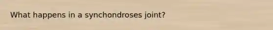 What happens in a synchondroses joint?