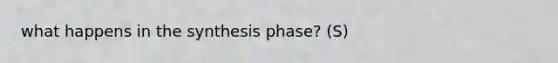 what happens in the synthesis phase? (S)