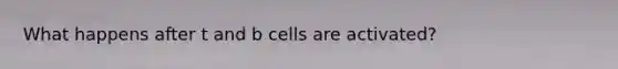 What happens after t and b cells are activated?