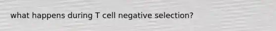 what happens during T cell negative selection?