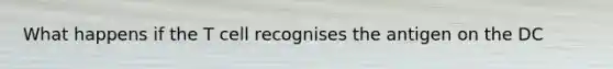 What happens if the T cell recognises the antigen on the DC