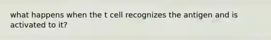 what happens when the t cell recognizes the antigen and is activated to it?