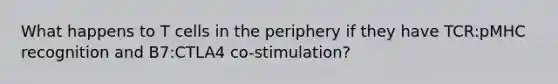 What happens to T cells in the periphery if they have TCR:pMHC recognition and B7:CTLA4 co-stimulation?