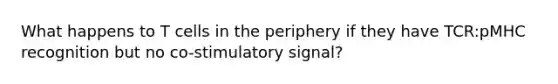 What happens to T cells in the periphery if they have TCR:pMHC recognition but no co-stimulatory signal?