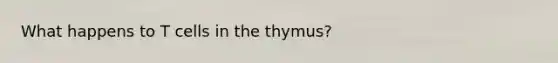 What happens to T cells in the thymus?