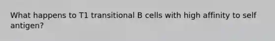 What happens to T1 transitional B cells with high affinity to self antigen?