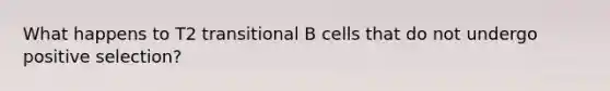 What happens to T2 transitional B cells that do not undergo positive selection?