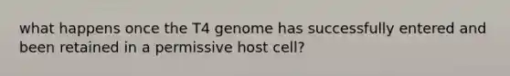 what happens once the T4 genome has successfully entered and been retained in a permissive host cell?