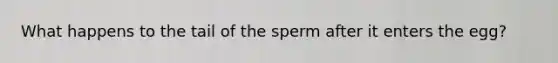 What happens to the tail of the sperm after it enters the egg?