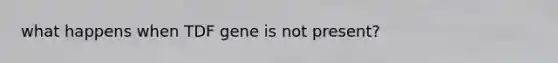 what happens when TDF gene is not present?