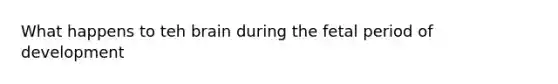 What happens to teh brain during the fetal period of development