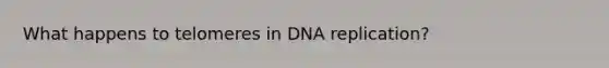 What happens to telomeres in <a href='https://www.questionai.com/knowledge/kofV2VQU2J-dna-replication' class='anchor-knowledge'>dna replication</a>?