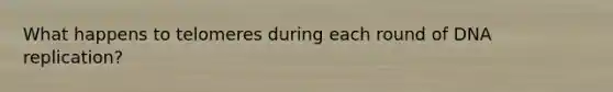 What happens to telomeres during each round of DNA replication?