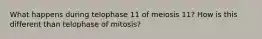 What happens during telophase 11 of meiosis 11? How is this different than telophase of mitosis?