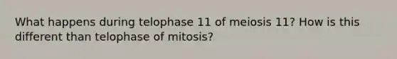 What happens during telophase 11 of meiosis 11? How is this different than telophase of mitosis?