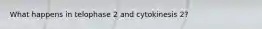 What happens in telophase 2 and cytokinesis 2?