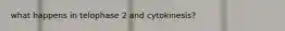 what happens in telophase 2 and cytokinesis?