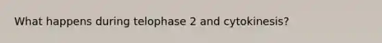 What happens during telophase 2 and cytokinesis?